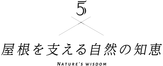 4 屋根を支える自然の知恵 Nature's wisdom