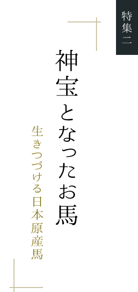 神宝となったお馬 生きつづける日本原産馬